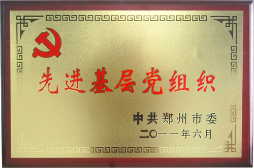 公司党支部被评为“先进基层党组织”